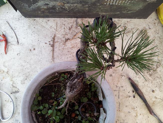 20121111_170626.jpg