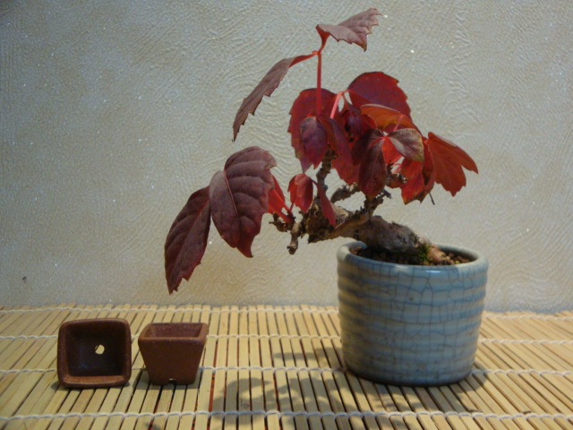 DSC01057.JPG