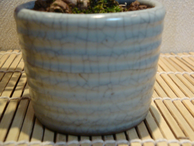 DSC01059.JPG