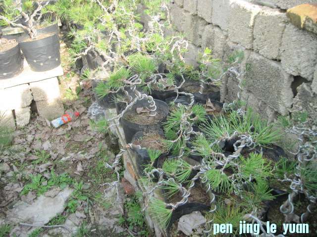 2012-11-07ز 019.jpg