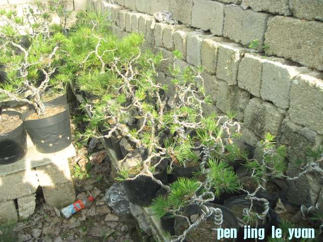 2012-11-07ز 020.jpg
