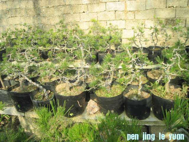 2012-11-07ز 021.jpg