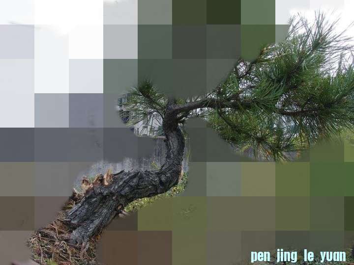 142409qady4qa63lrlenps_jpg_thumb_conew1.jpg
