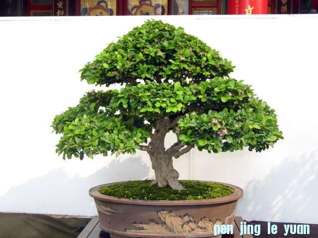 63WmB04I7C1WfZNe9QtJgw.jpg
