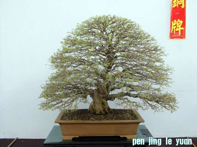 C0FuTAe_CarQNmbyiDIPgA.jpg