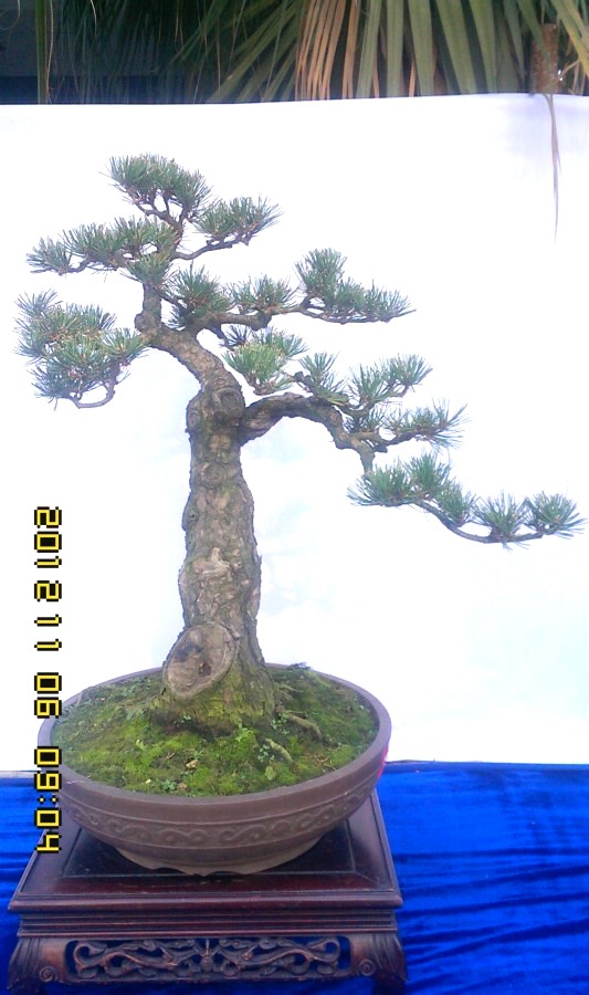 IMG1106090401.jpg
