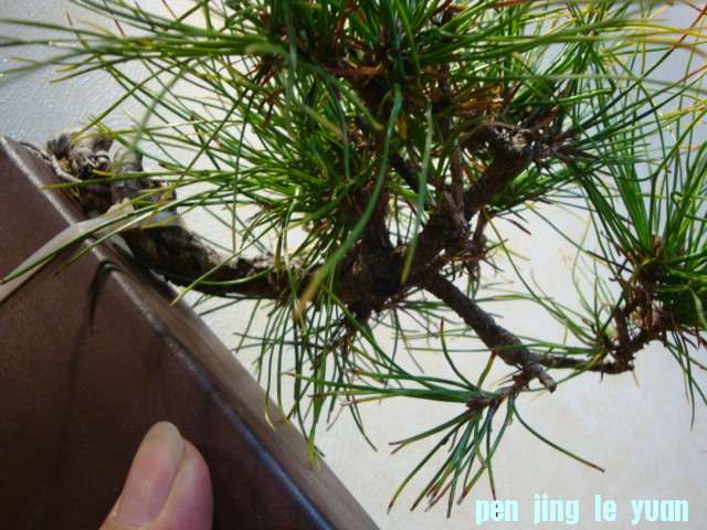 DSC01069.JPG