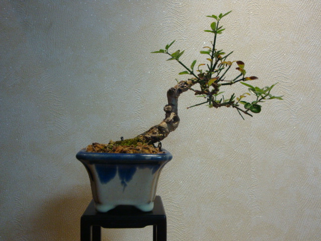 DSC01143.JPG