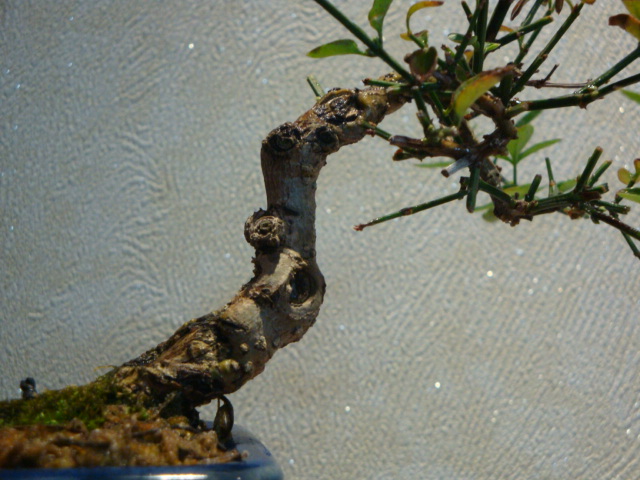 DSC01144.JPG