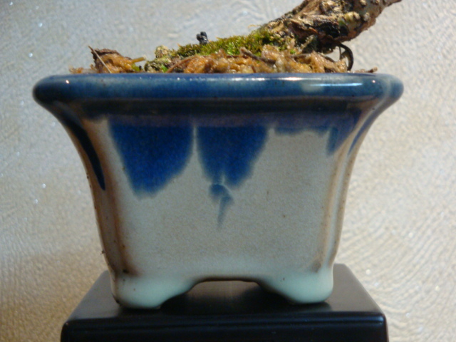 DSC01145.JPG