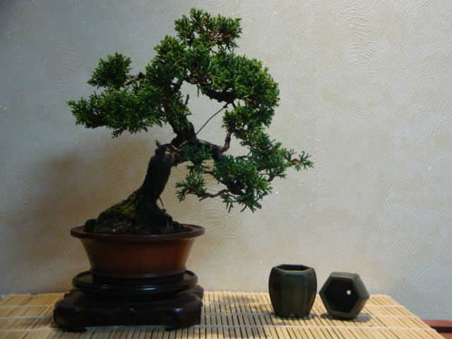 DSC01111.JPG
