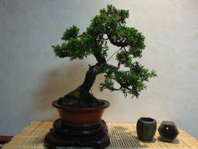 DSC01112.JPG