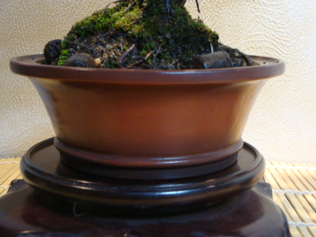 DSC01114.JPG