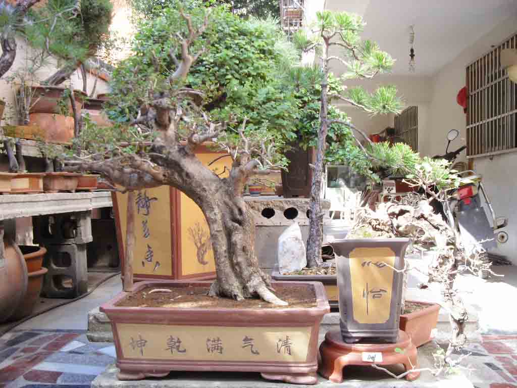 SDC13121.JPG