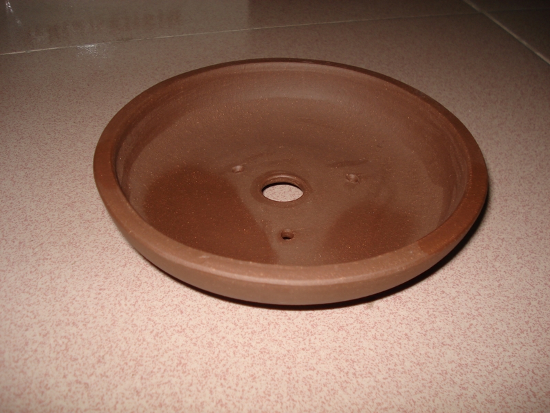 DSC06406.JPG