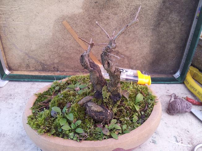 20121117_134913.jpg