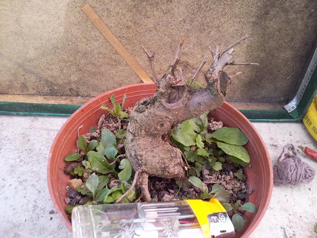20121117_135055.jpg