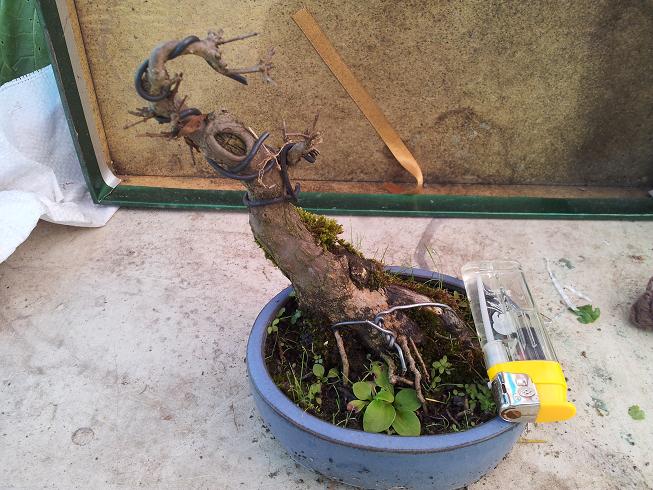 20121117_135124.jpg