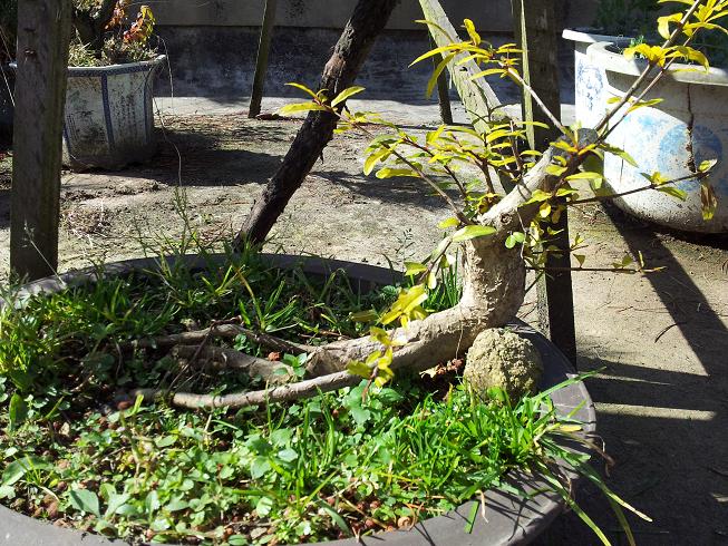 20121117_135309.jpg