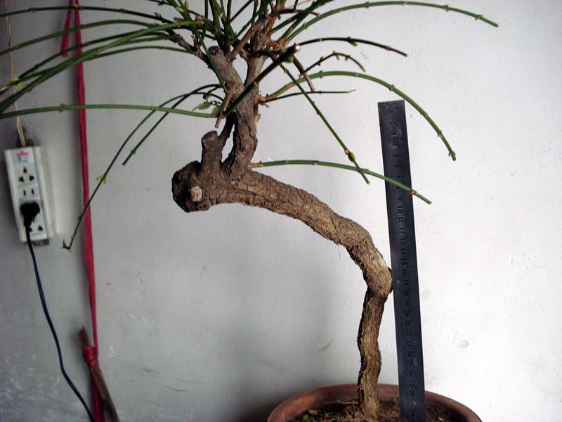 DSC03792_.jpg