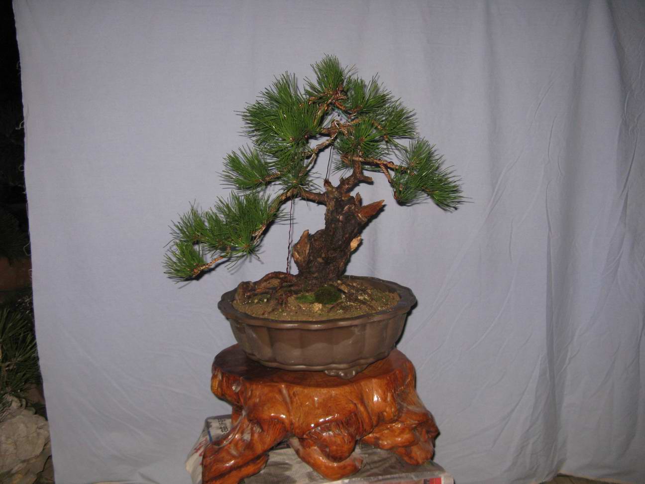 Ƭ 026.jpg