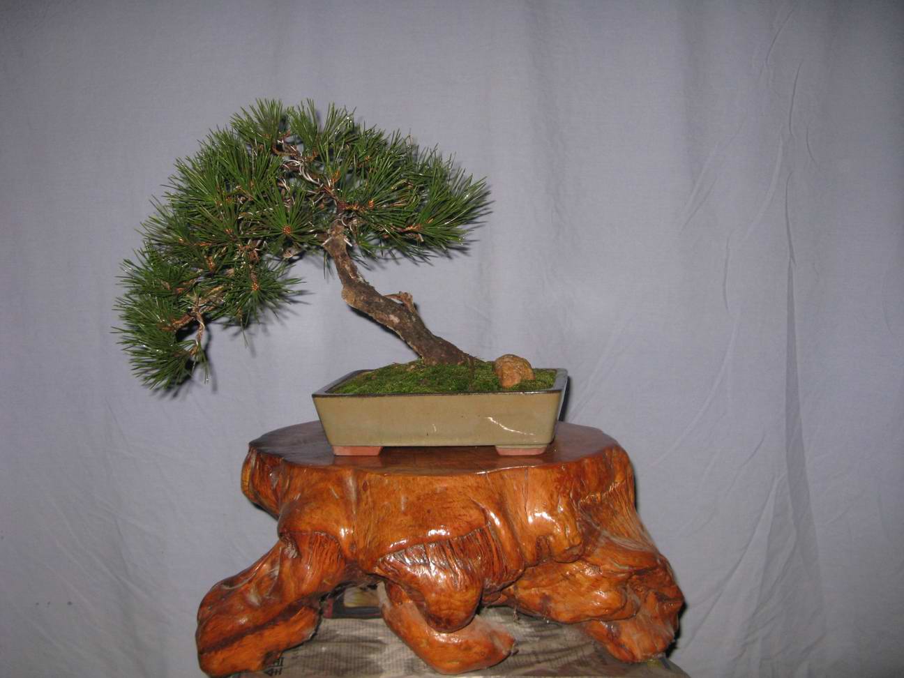 Ƭ 033.jpg