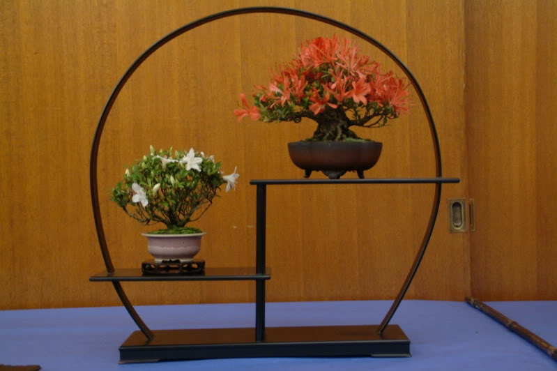 satsukishow114.jpg