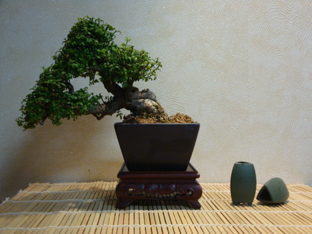DSC01074.JPG