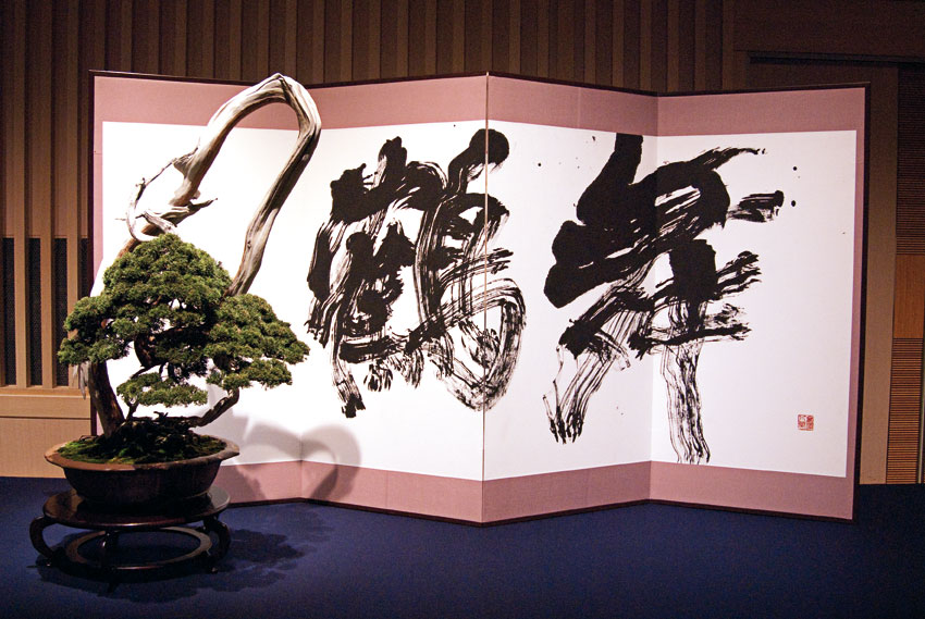 image_2484_aspac-2011-japan.jpg