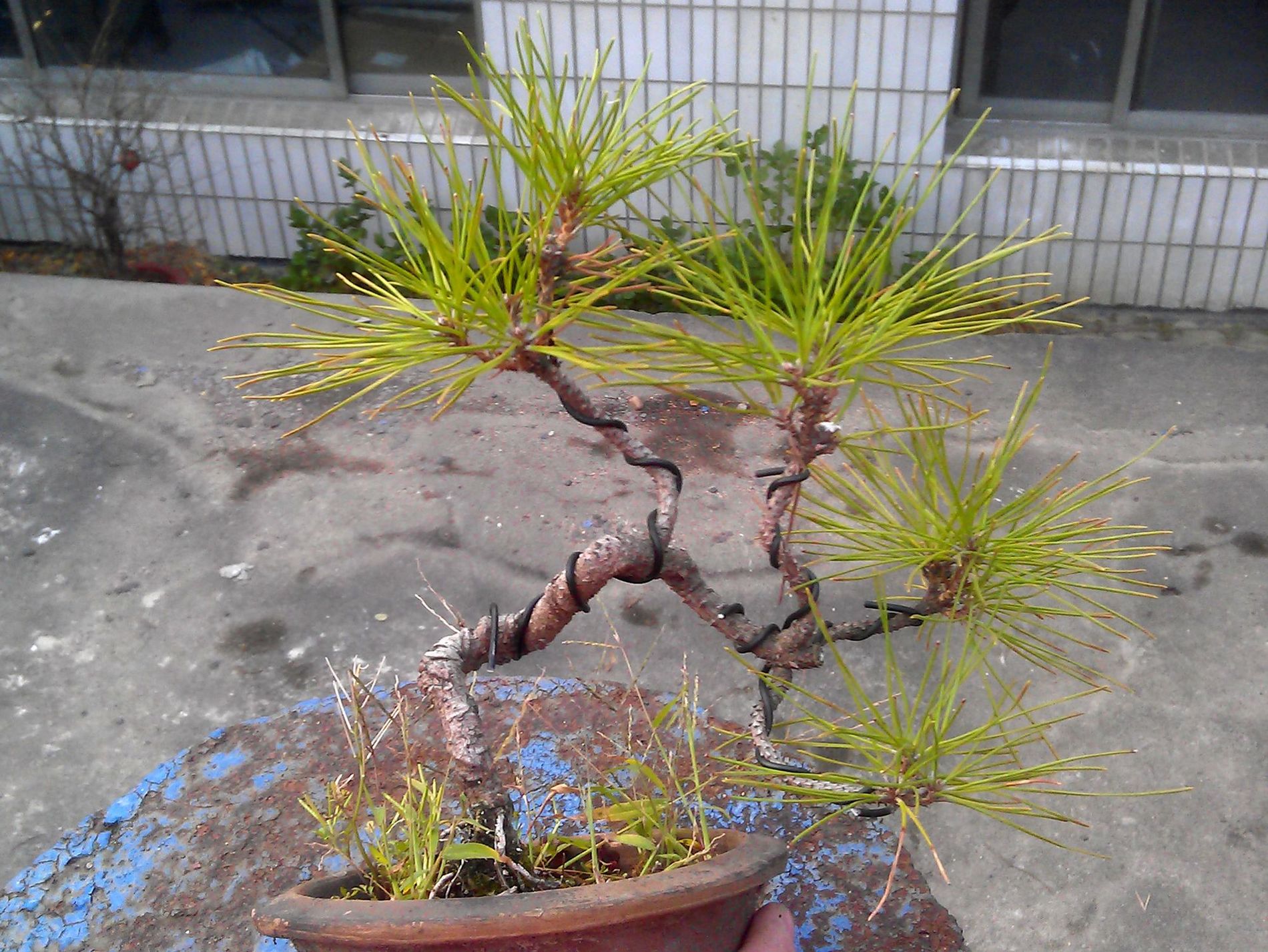 IMAG0253.jpg