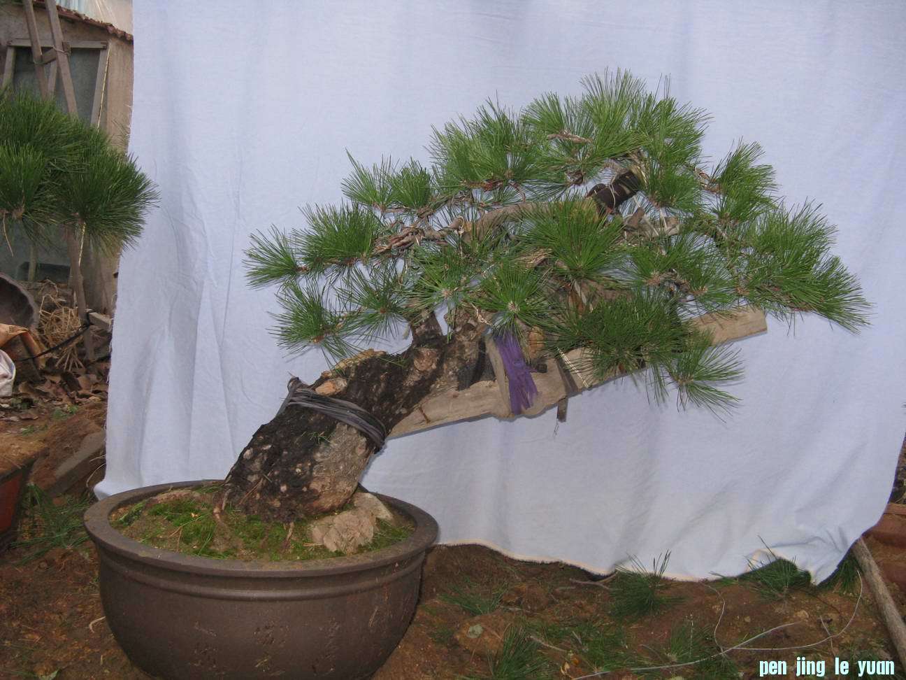 Ƭ 003.jpg