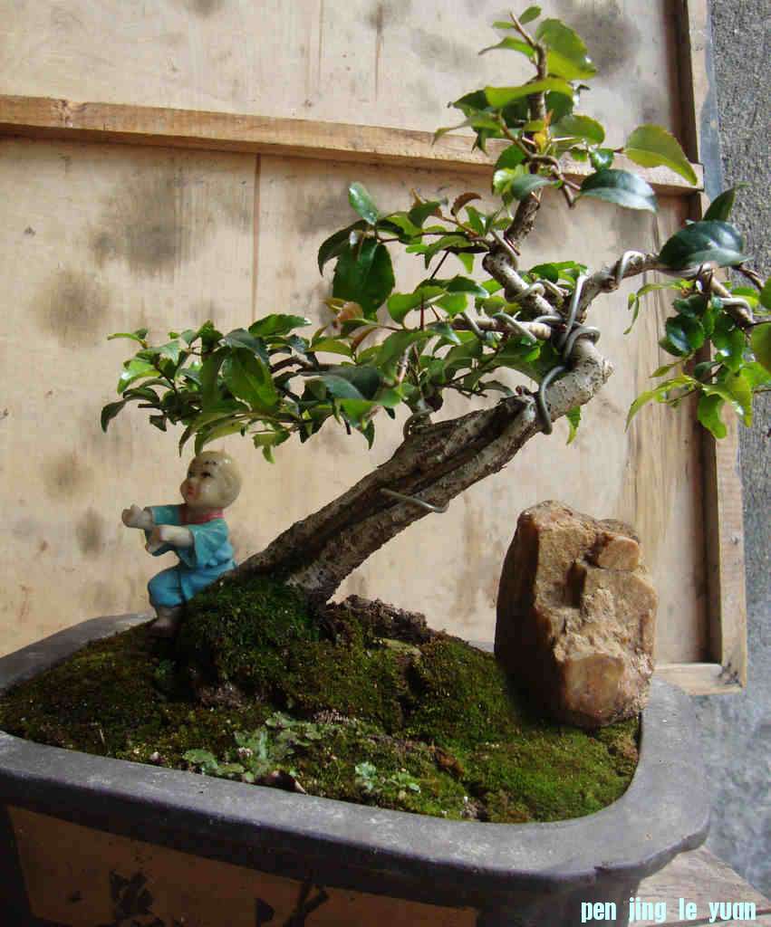 DSC08700.JPG