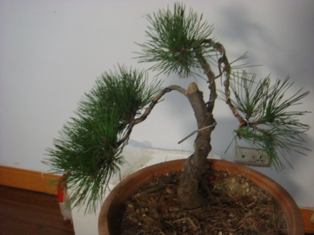 DSC03012.JPG