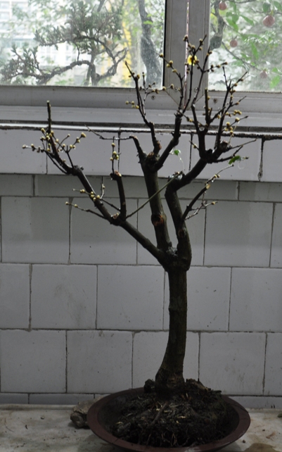 DSC_0027.JPG