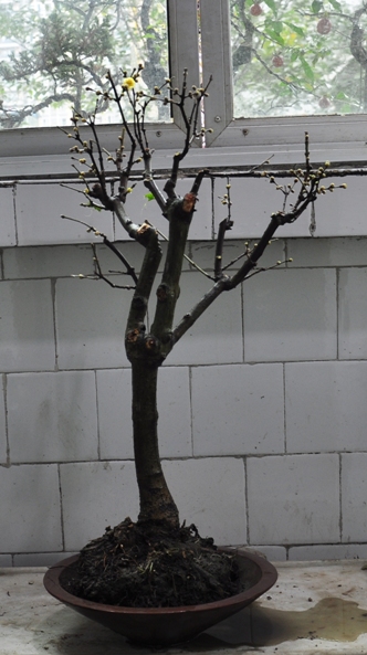DSC_0028.JPG