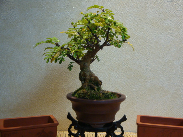 DSC01118.JPG