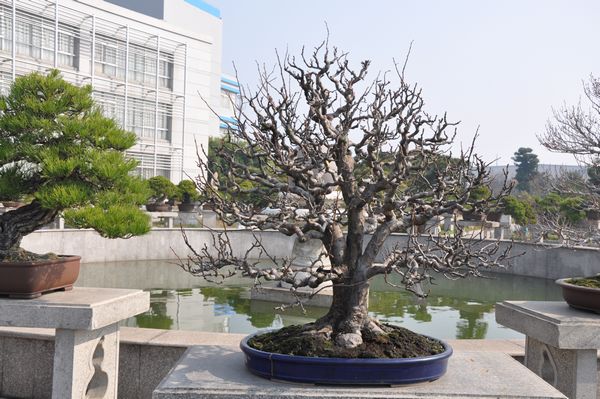 ҵ辰 070.jpg