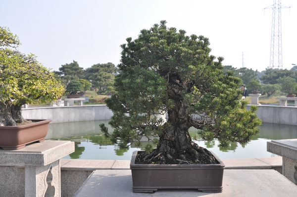 ҵ辰 071.jpg
