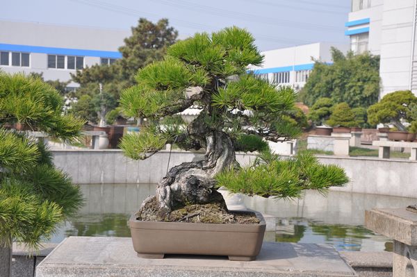 ҵ辰 075.jpg