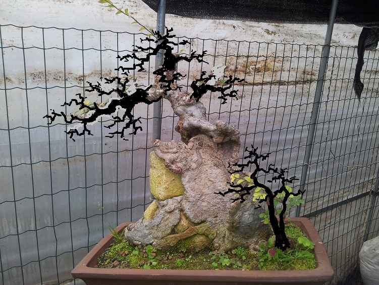 20121121_141325ͼ.jpg