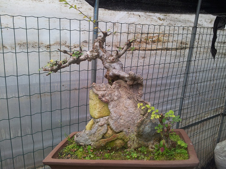 20121121_141325.jpg