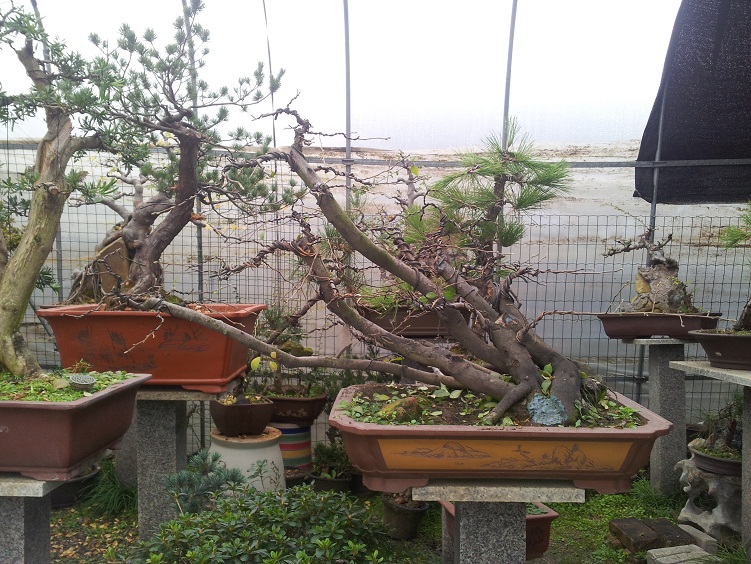 20121121_140348.jpg
