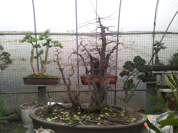 20121121_140403.jpg