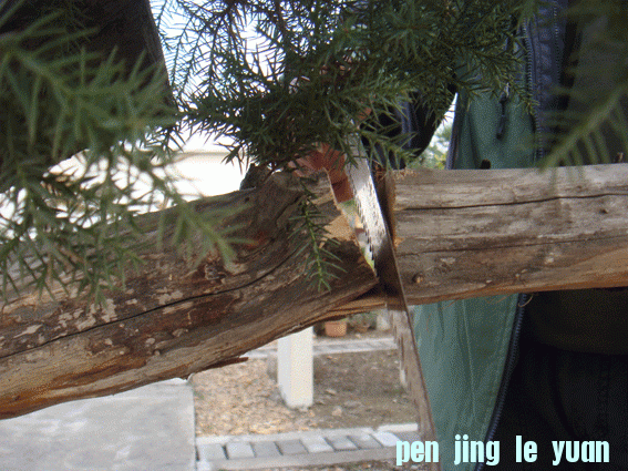 DSC06404.gif