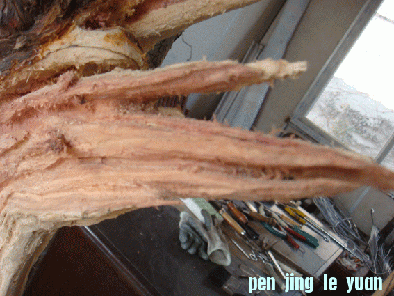 DSC06414.gif