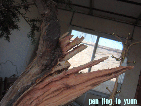 DSC06424.gif