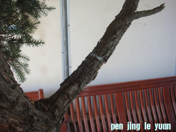 DSC06409.gif