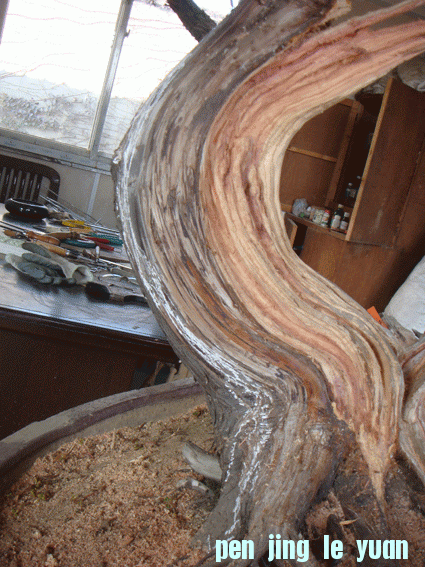 DSC06420.gif