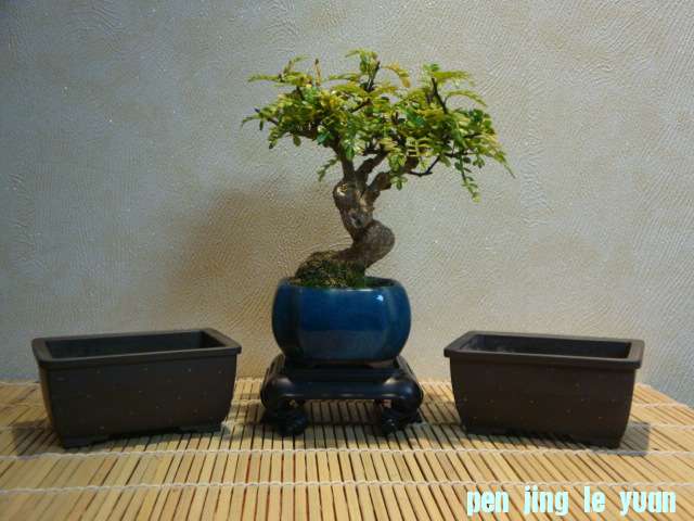 DSC01127.JPG