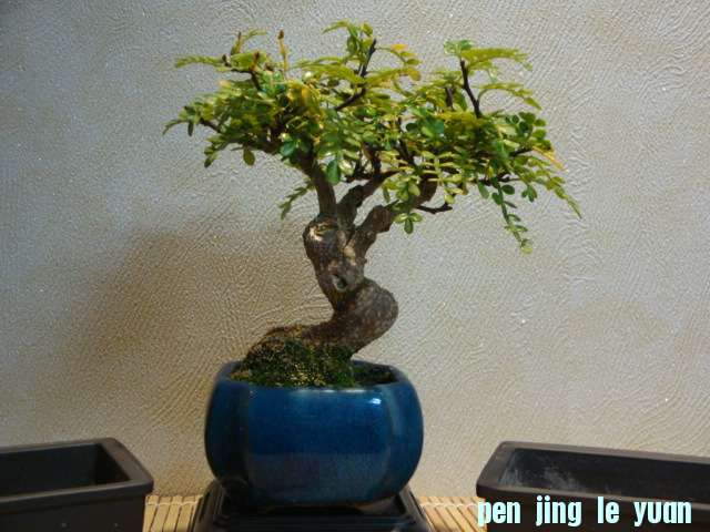 DSC01128.JPG
